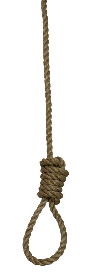 Noose